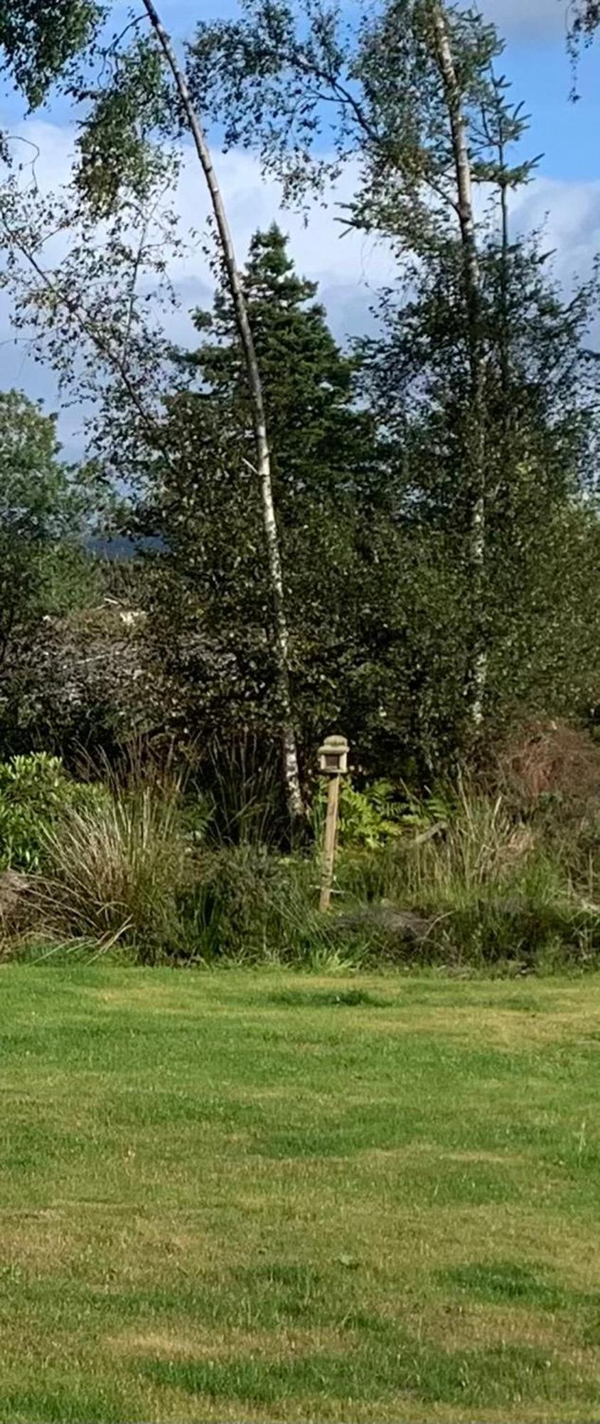 Tawny Owl Pod With Hot Tub * Oban